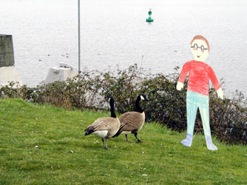 6_ducks.JPG